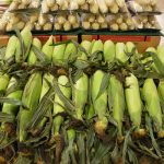 Amish corn husk