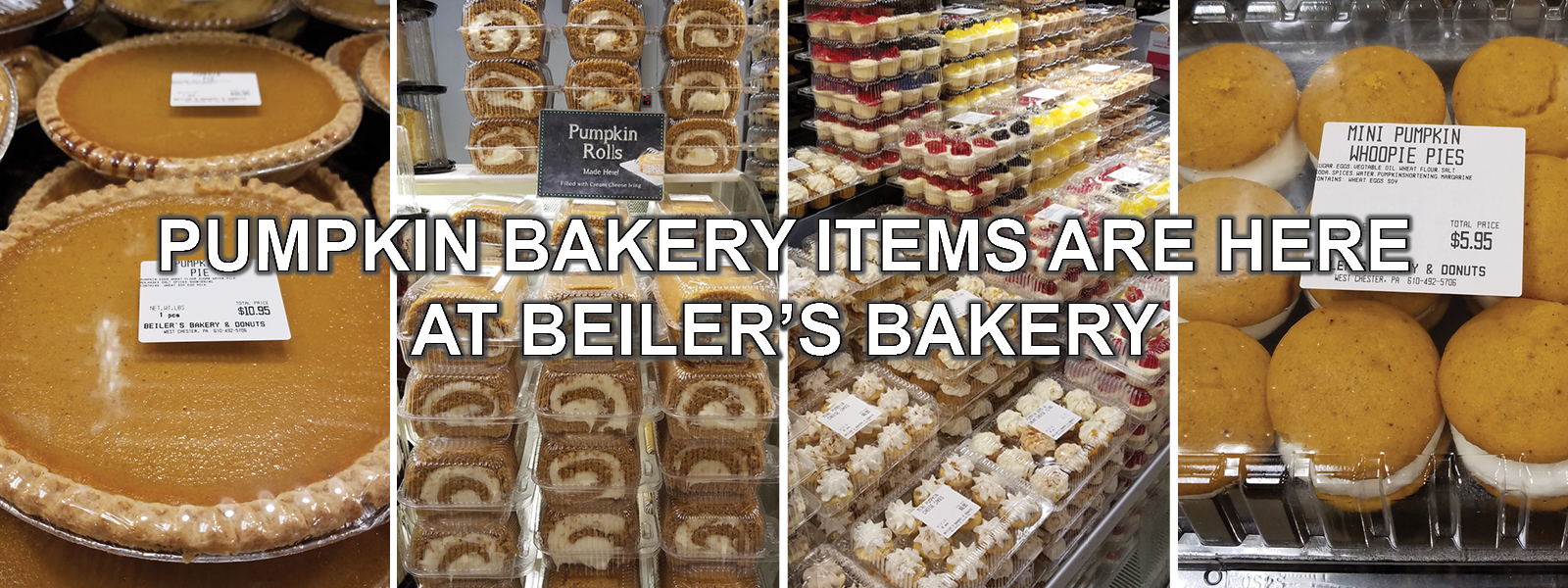 pumpkin products have arrived at beilers bakery